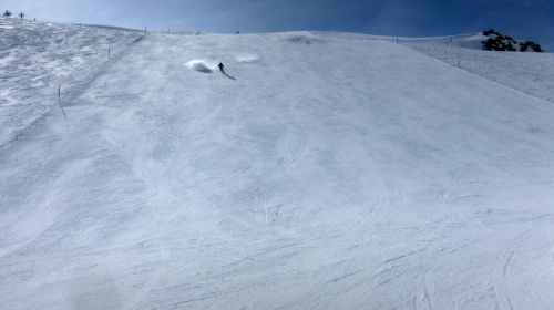 20. März 2015
