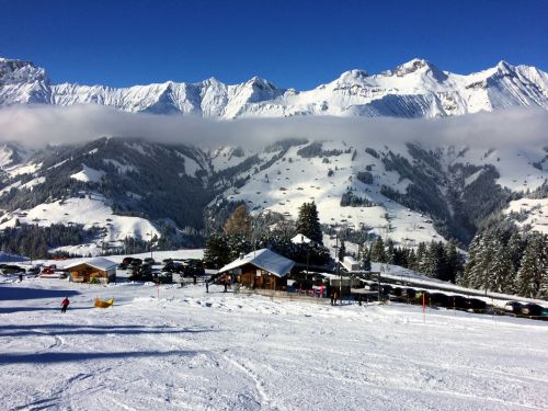 Elsigen/Metsch, 27.11.2015
