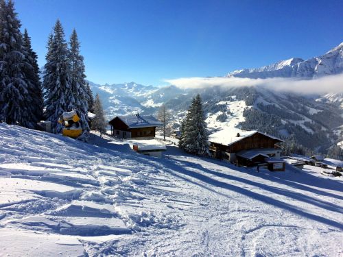 Elsigen/Metsch, 27.11.2015
