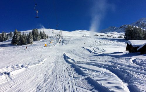 Elsigen/Metsch, 27.11.2015
