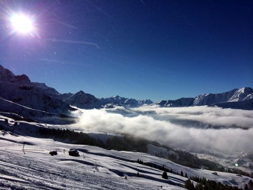 Elsigen/Metsch, 27.11.2015
