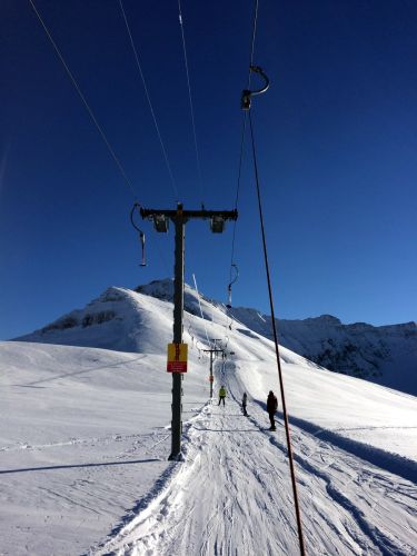 Elsigen/Metsch, 27.11.2015
