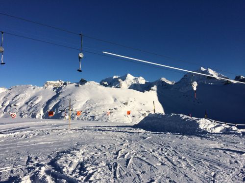 Elsigen/Metsch, 27.11.2015
