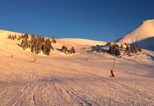 Elsigen/Metsch, 27.11.2015
