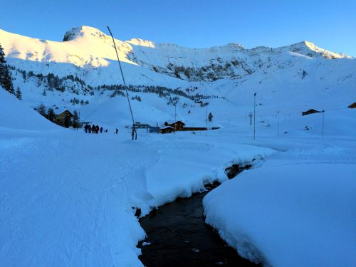 Elsigen/Metsch, 27.11.2015
