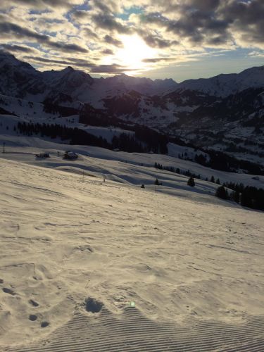 Elsigen/Metsch, 1.12.2015
