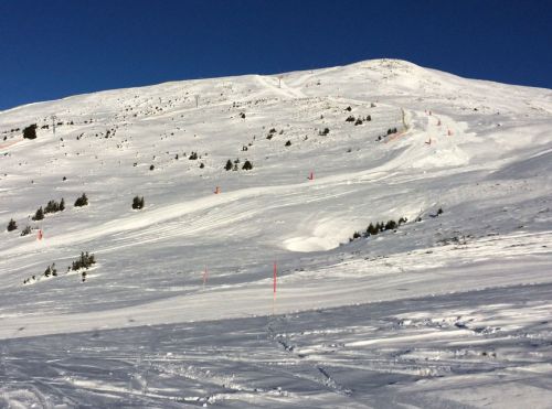Elsigen/Metsch, 2.12.2015
