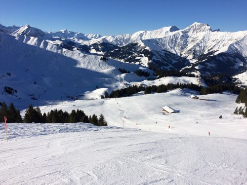 Elsigen/Metsch, 2.12.2015
