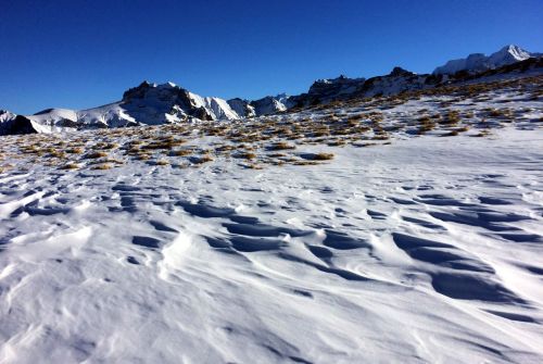 Elsigen/Metsch, 2.12.2015
