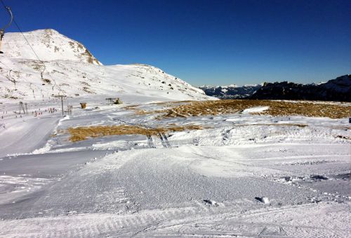 Elsigen/Metsch, 2.12.2015
