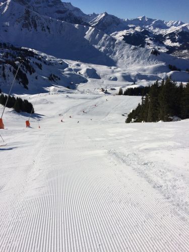 Elsigen/Metsch, 2.12.2015
