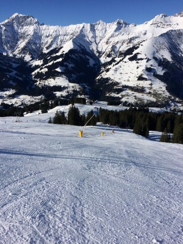 Elsigen/Metsch, 2.12.2015
