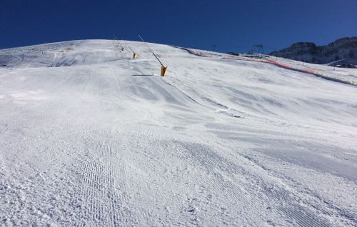 Elsigen/Metsch, 2.12.2015
