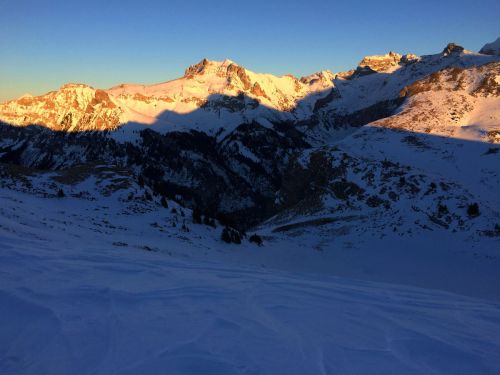 Elsigen/Metsch, 2.12.2015
