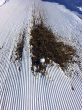 20151202-elsigen-metsch-8417.jpg