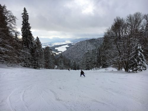 17. Januar 2016
