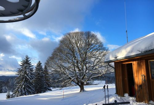 17. Januar 2016
