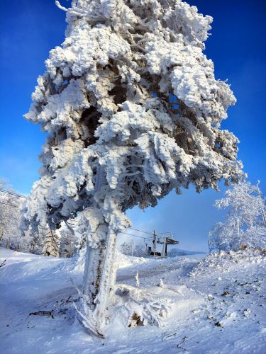 17. Januar 2016
