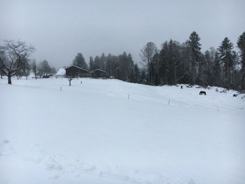 20. Januar 2016
