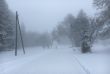 20160120-tramelan-0461.jpg