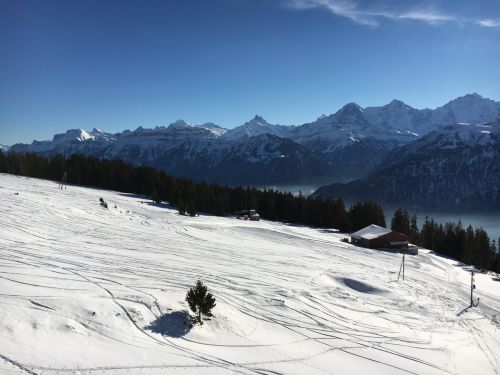 22. Januar 2016
