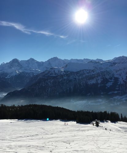 22. Januar 2016

