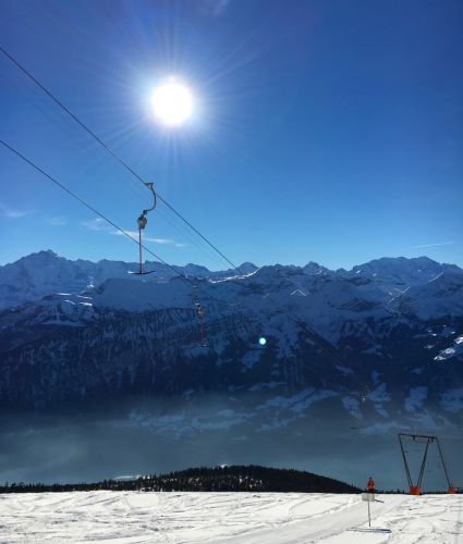 22. Januar 2016
