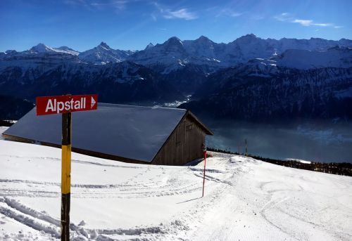 22. Januar 2016
