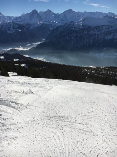 22. Januar 2016
