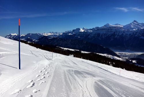 22. Januar 2016
