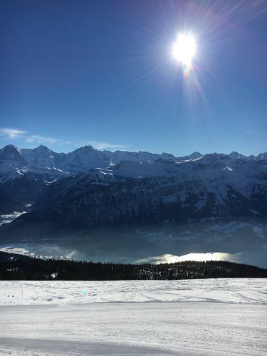 22. Januar 2016
