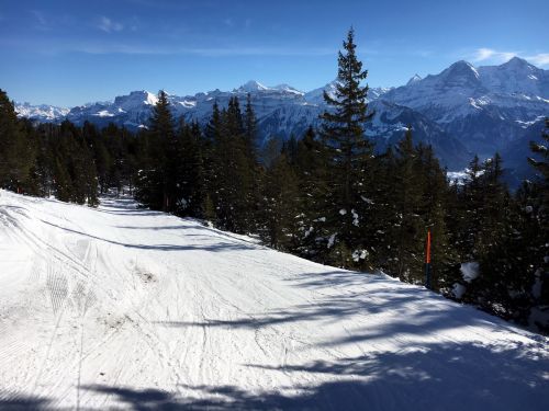 22. Januar 2016

