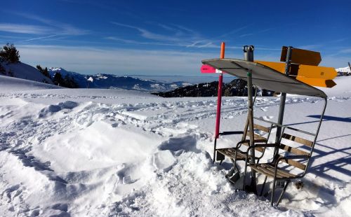 22. Januar 2016
