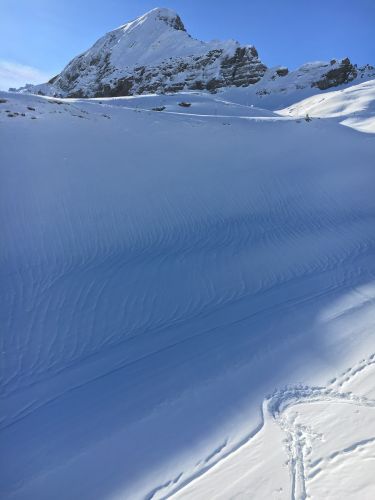 1. Februar 2016
