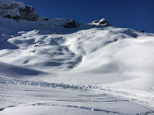1. Februar 2016
