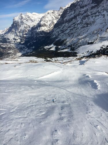 1. Februar 2016
