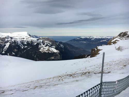 2. Februar 2016
