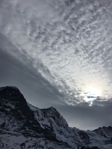 2. Februar 2016
