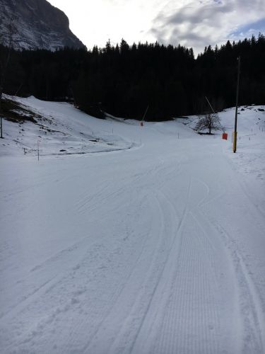 2. Februar 2016
