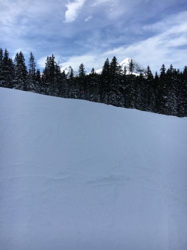 6. Februar 2016
