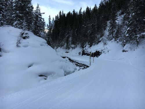 6. Februar 2016
