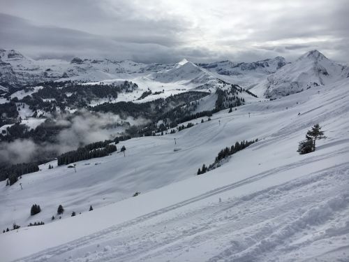 Zweisimmen, 24.2.2016
