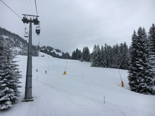 Zweisimmen, 24.2.2016
