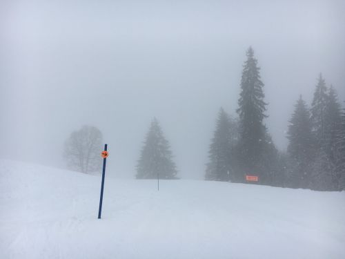 Zweisimmen, 24.2.2016
