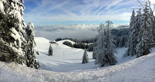 Selital, 26.2.1016
