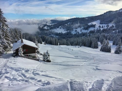 Selital, 26.2.1016
