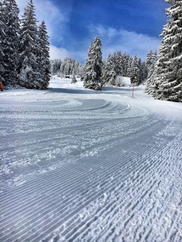 Selital, 26.2.1016
