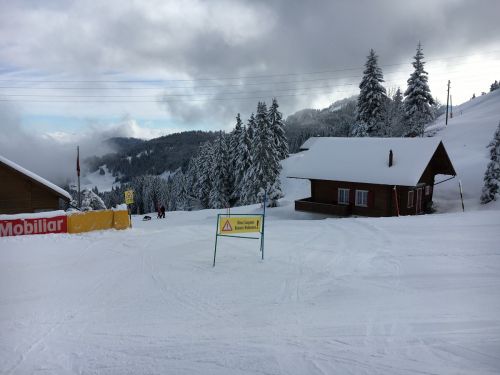 Selital, 26.2.1016
