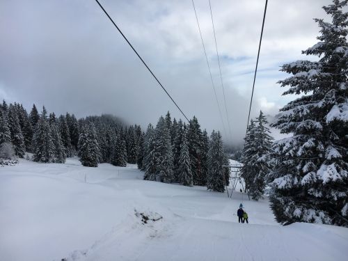 Selital, 26.2.1016
