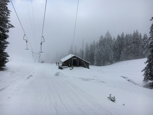 Selital, 26.2.1016
